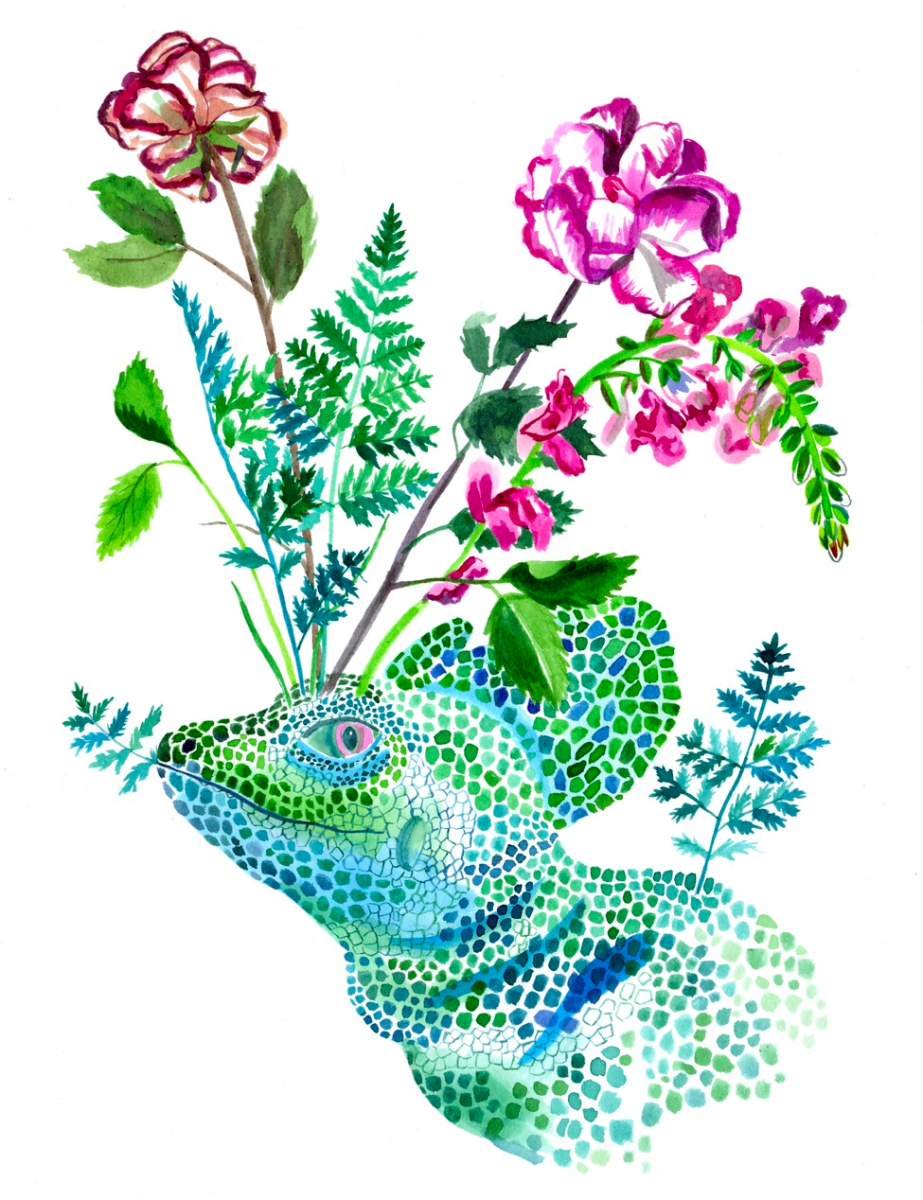 Lisa Hanwalt - Basilisk Lizard and Flowers